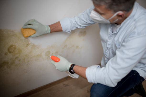 Crawl Space Mold Removal in Everman, TX